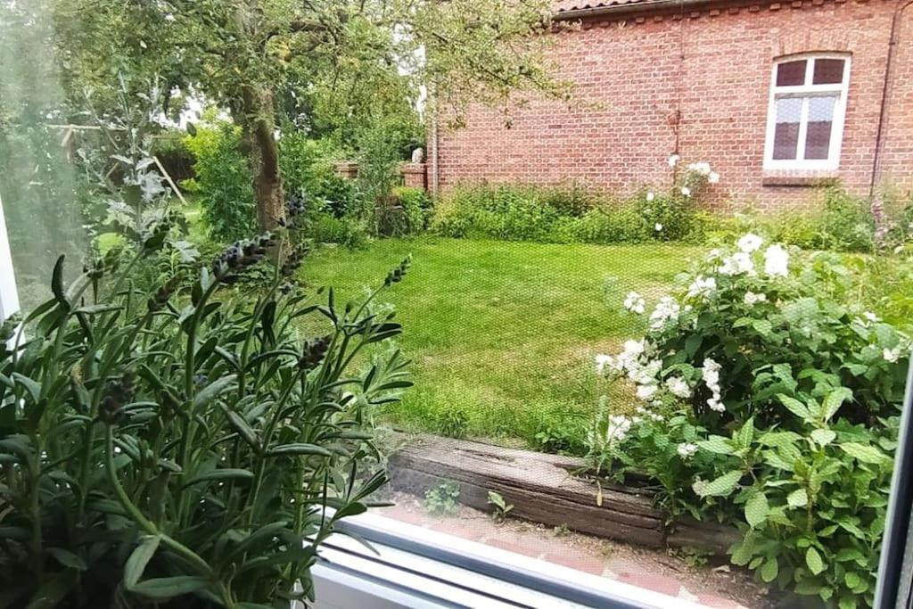 Fairschlafen - Gartenwohnung Bücken المظهر الخارجي الصورة